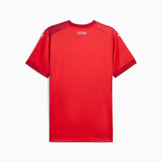 Equipamento principal da Federação Dinamarquesa de Andebol 2025 Puma