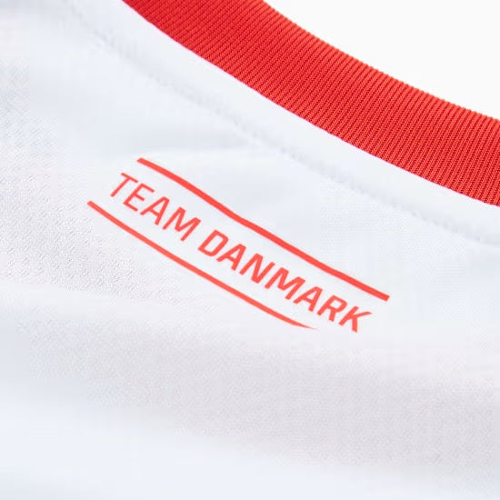 Equipamento Alternativo da Federação Dinamarquesa de Andebol Puma 2025