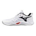 Mizuno WAVE MOMENTUM PRO
